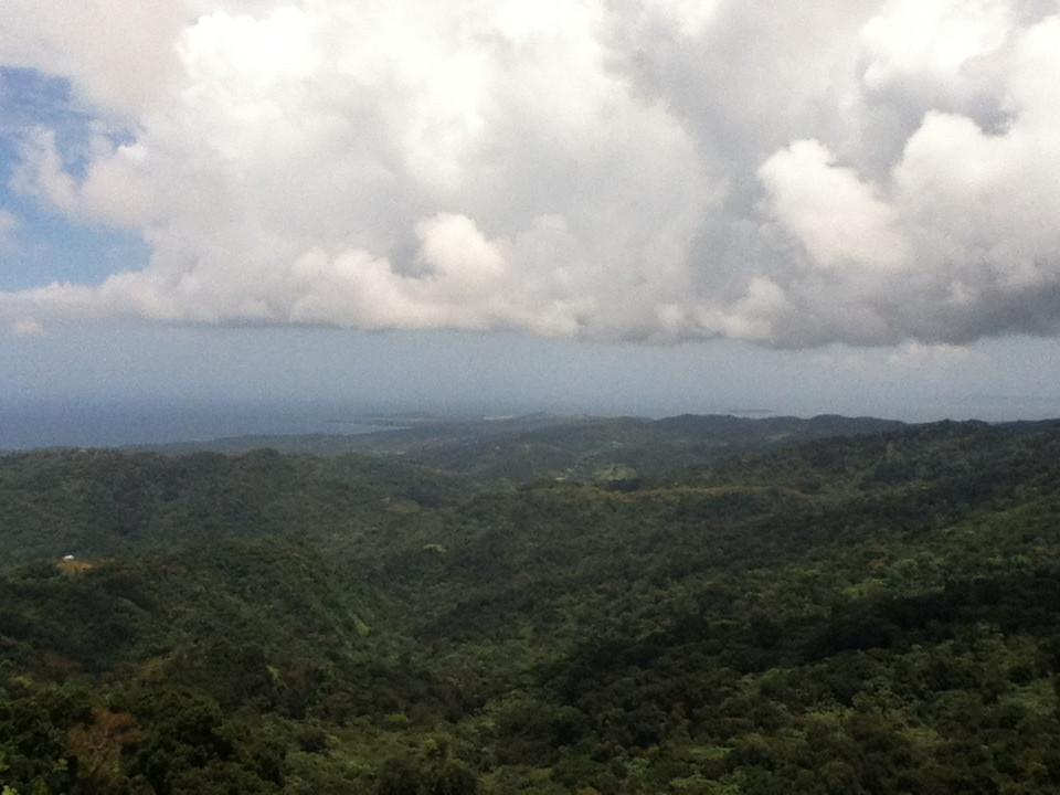 El Yunque National Forest景点图片