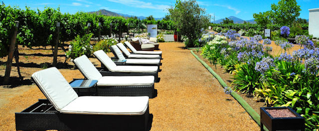 Casablanca Valley Wine Route-卡萨布兰卡必去景点