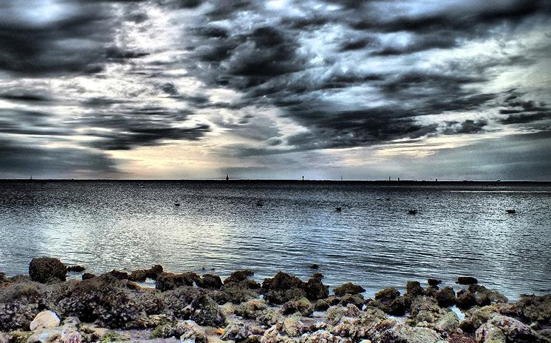 Peace River Wildlife Center-蓬塔戈尔达必去景点