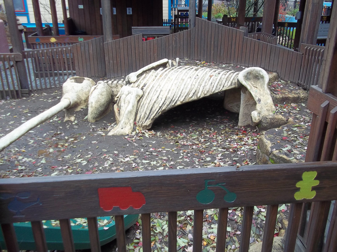 Gilbert House Children's Museum-塞勒姆必去景点