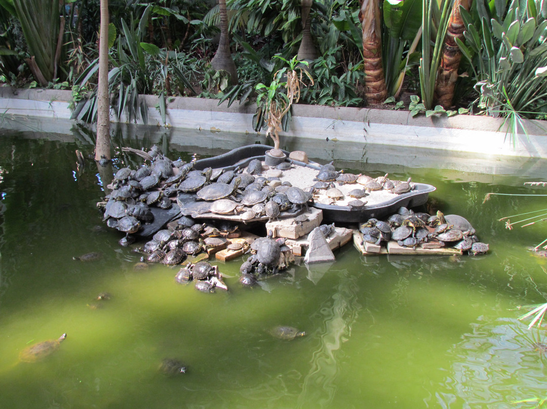 阿托查火车站-马德里必去景点