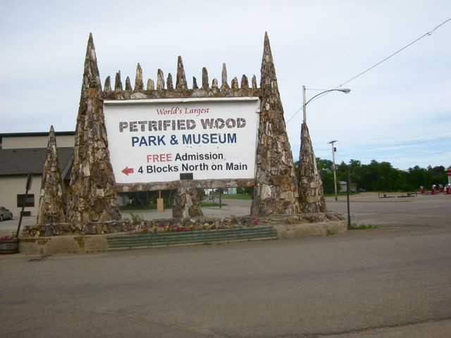 Petrified Wood Park景点图片