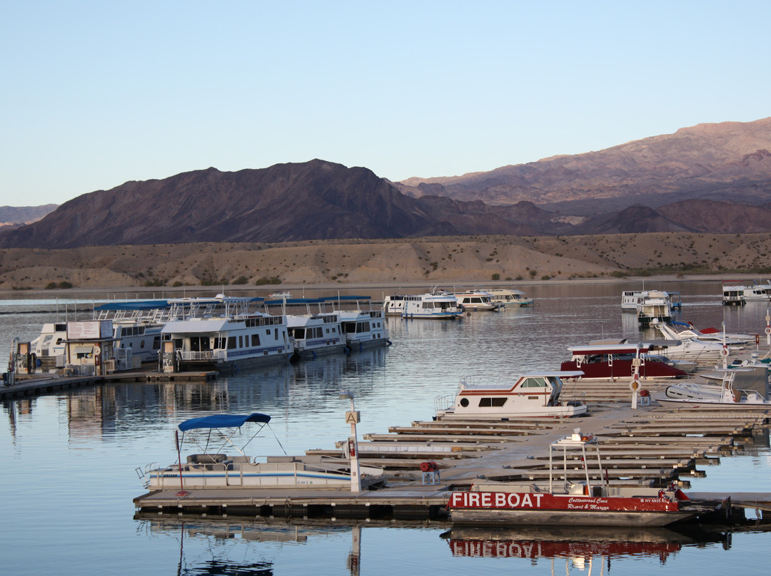 Cottonwood Cove Resort主图