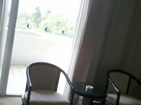 丹顶鹤大酒店主图