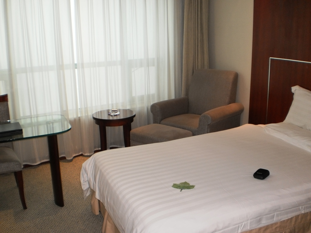 江苏辰茂新世纪大酒店-客卧