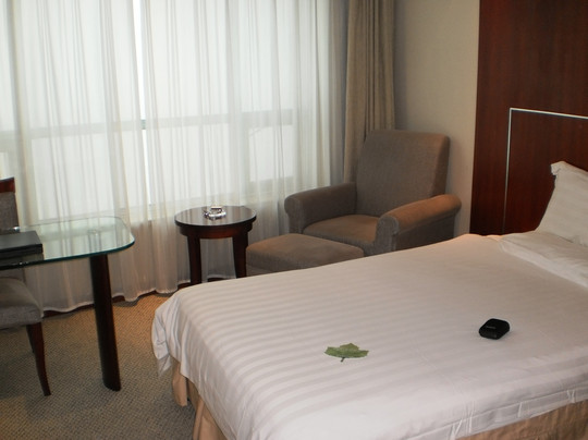 江苏辰茂新世纪大酒店主图