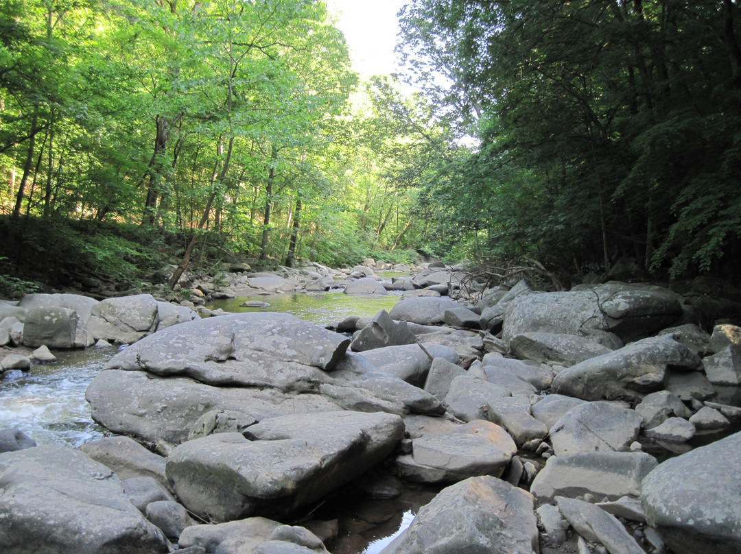 岩溪公园-华盛顿特区必去景点