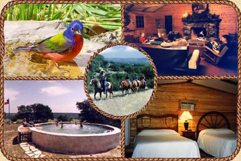 Quiet Hill Ranch - Fredericksburg-官方