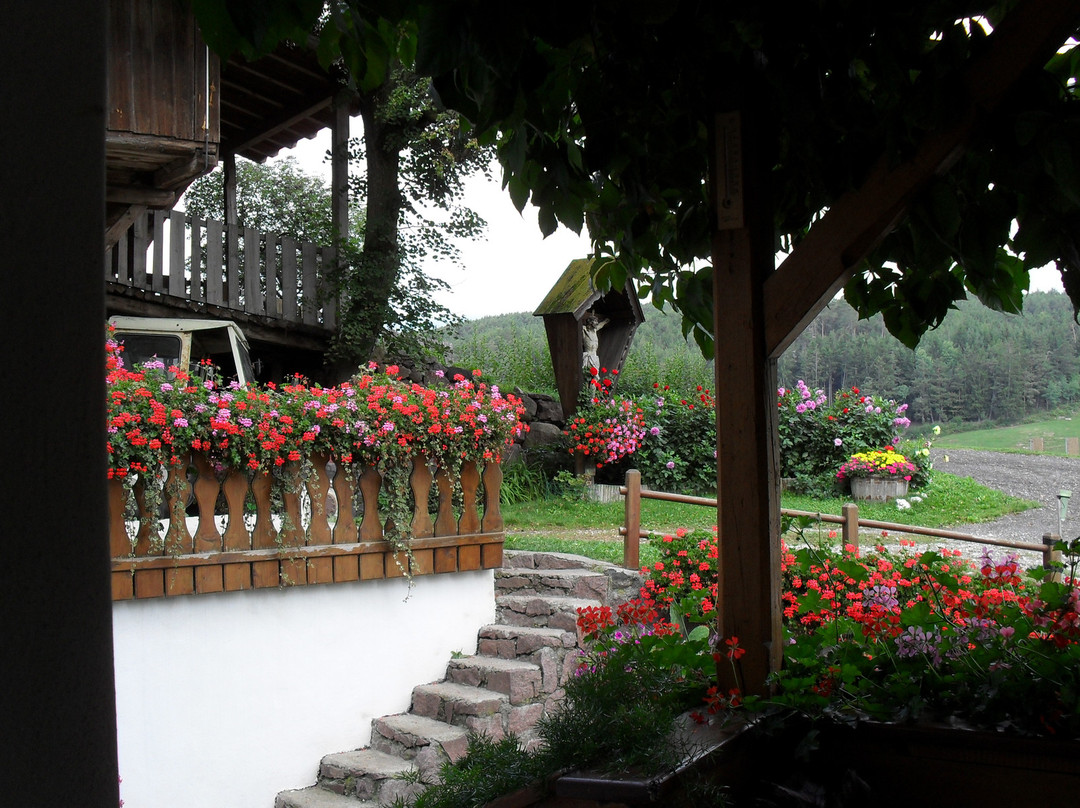 Tiosels酒店住宿-Tirlerhof