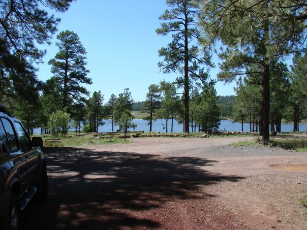 Bill Williams Mountain-威廉姆斯必去景点