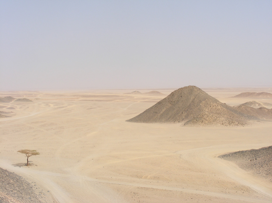 Sahara Desert景点图片
