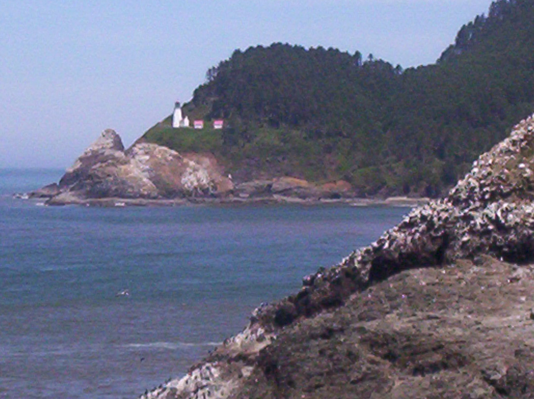 Sea Lion Caves-弗洛伦斯必去景点