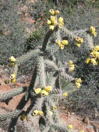 红岩圣十字教堂-塞多纳必去景点