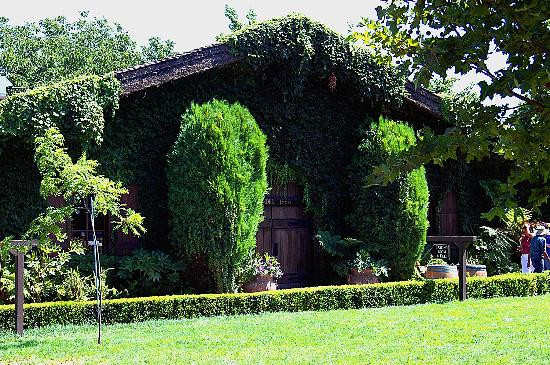 维萨图依酒庄-圣海伦娜必去景点