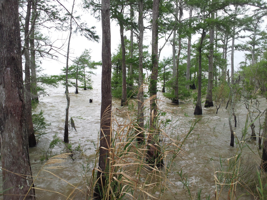 Jocelyn Nungaray National Wildlife Refuge-Anahuac必去景点