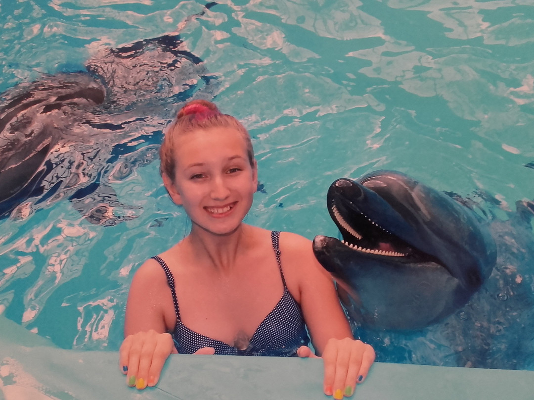 Minsk Dolphinarium Nemo-明斯克必去景点