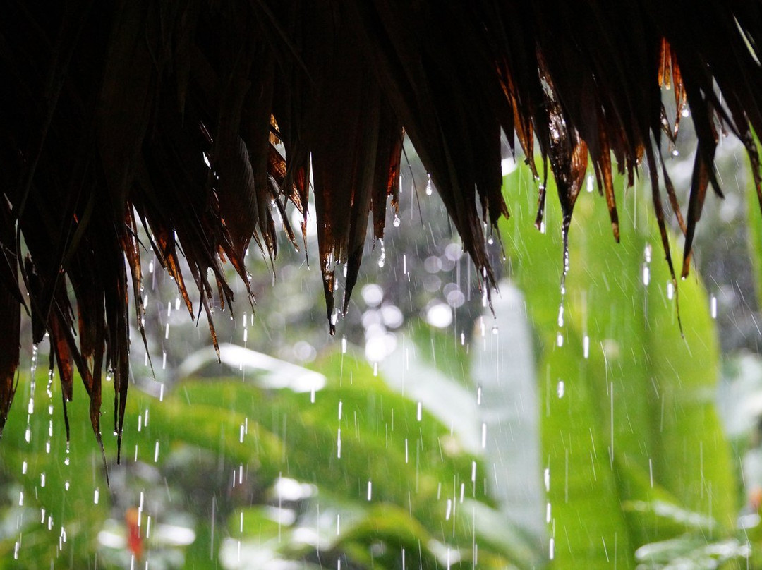 Orquidea Lodge