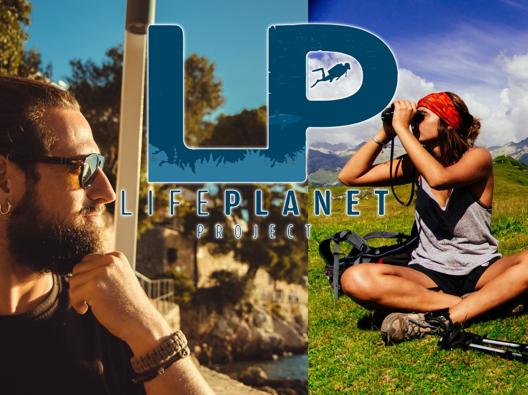 Life Planet Project景点图片