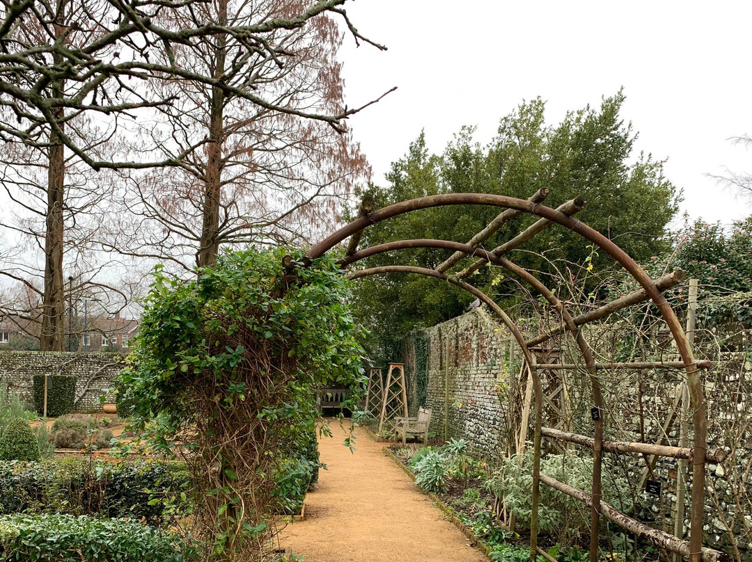 Petersfield Physic Garden景点图片