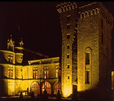 Les Chatelliers-Chateaumur酒店住宿-Chateau de la Flocelliere