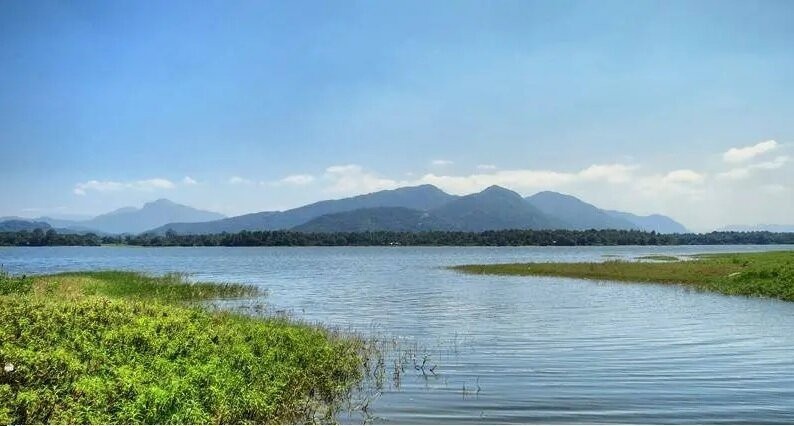 Bathalagoda / Batalagoda Tank景点图片