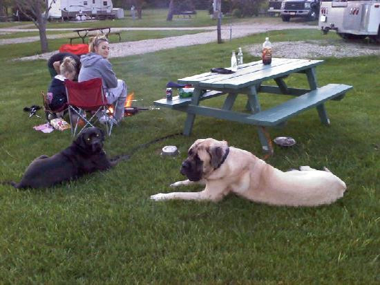 Willoaks Campground