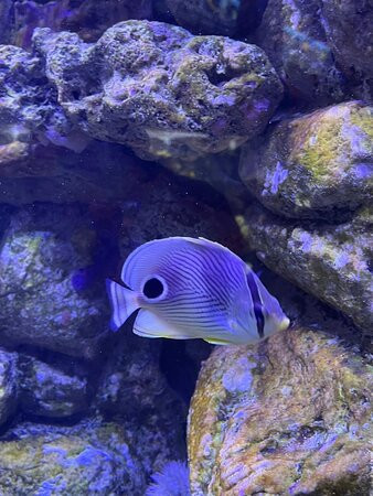 Aquarium de la Guadeloupe-Le Gosier必去景点