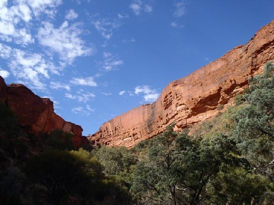Kings Canyon景点图片