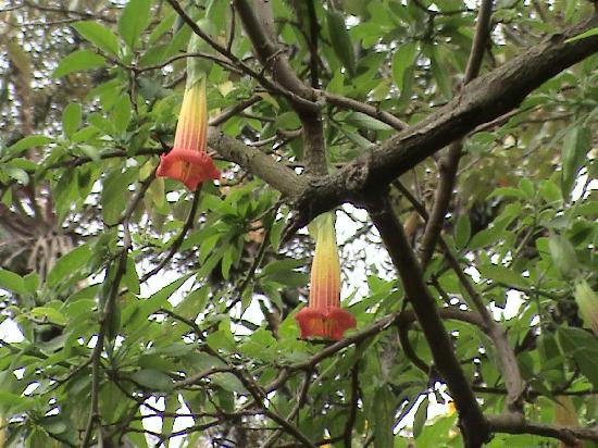 玻利瓦尔金塔故居博物馆-波哥大必去景点