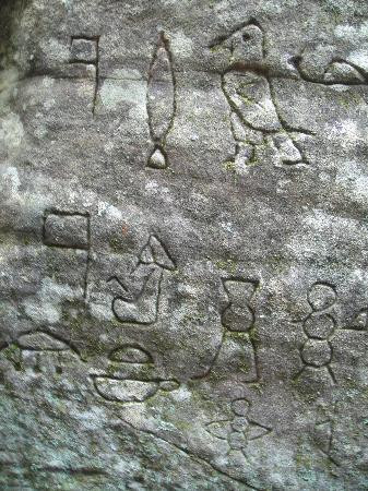 Gosford Glyphs-Kariong必去景点