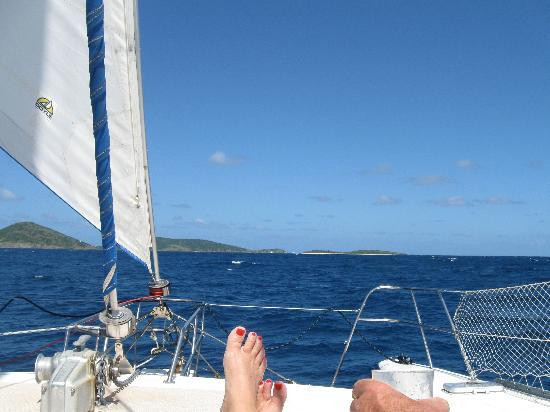 Kuralu Catamaran Charters景点图片