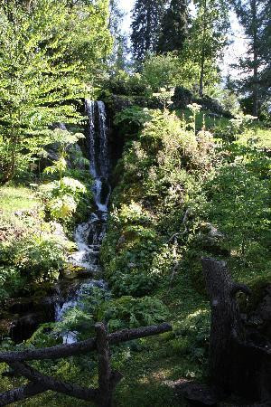 Jardin alpin La Jaÿsinia景点图片