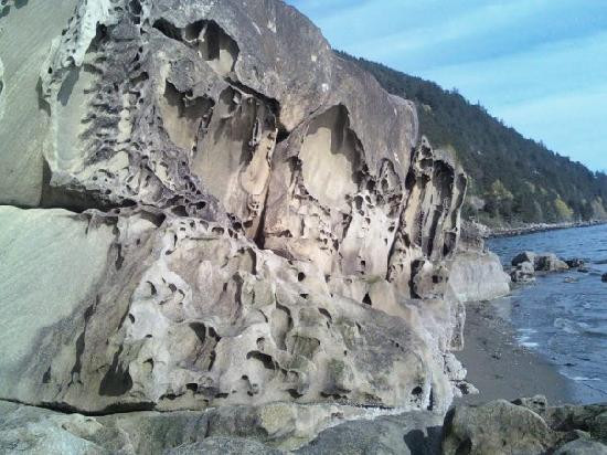 Clayton Beach-贝灵厄姆必去景点