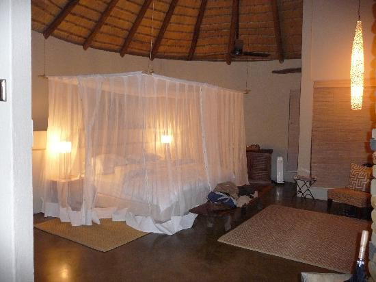 Nambiti Big 5 Private Game Reserve-Ladysmith必去景点