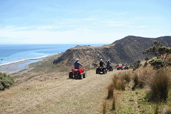 Wellington Adventures - Day Trip-惠灵顿必去景点