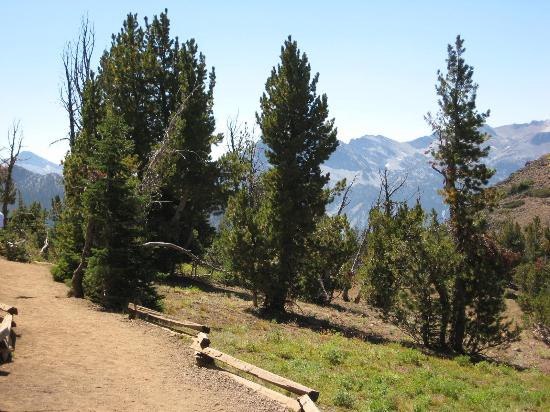 Wallowa Lake Tramway-Joseph必去景点