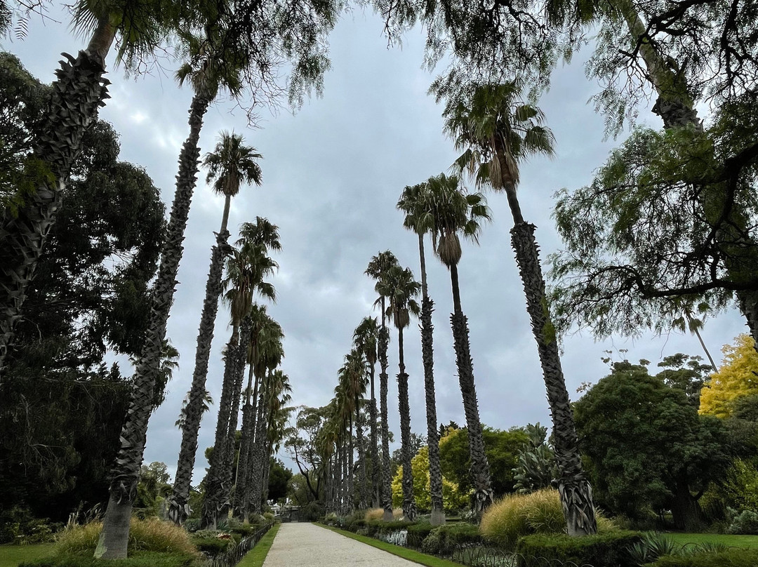 Williamstown Botanic Gardens景点图片