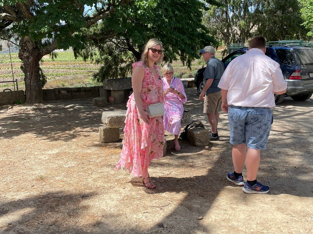 DWT - Douro Wine Tours-波尔图必去景点