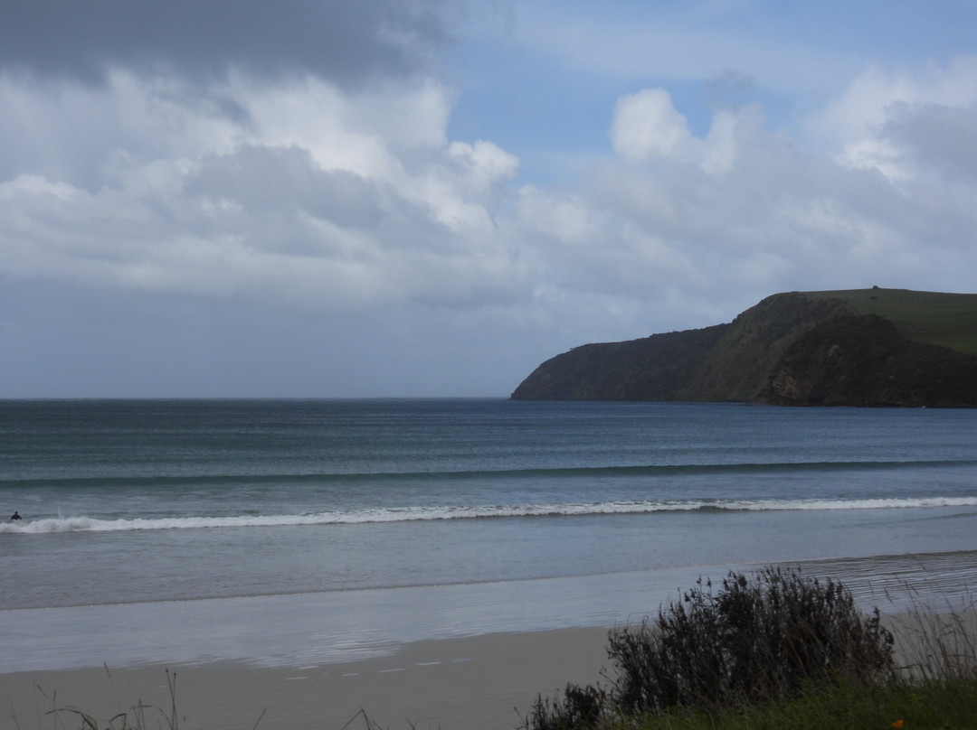 Cape Bridgewater Bay Beach景点图片