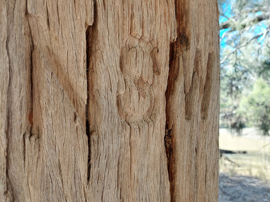 One Ton Post-Mungindi必去景点