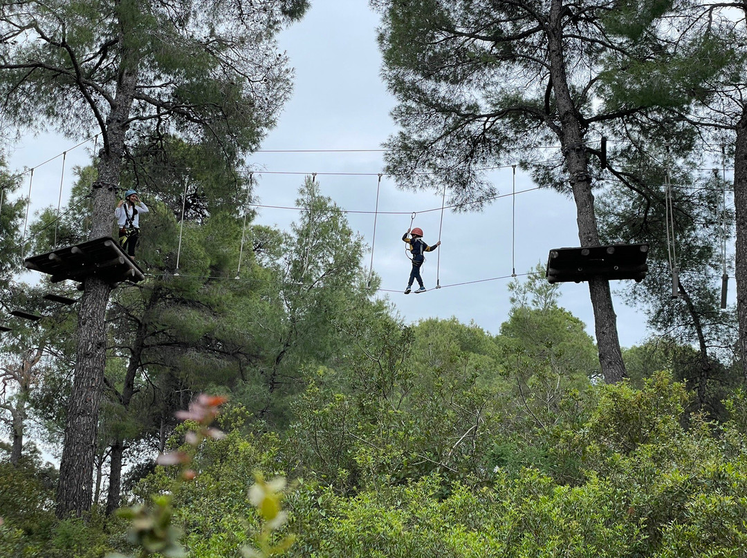 Sani Treetop Adventure景点图片