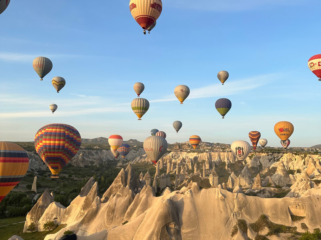 7 Wonders Travel - Private Tours景点图片