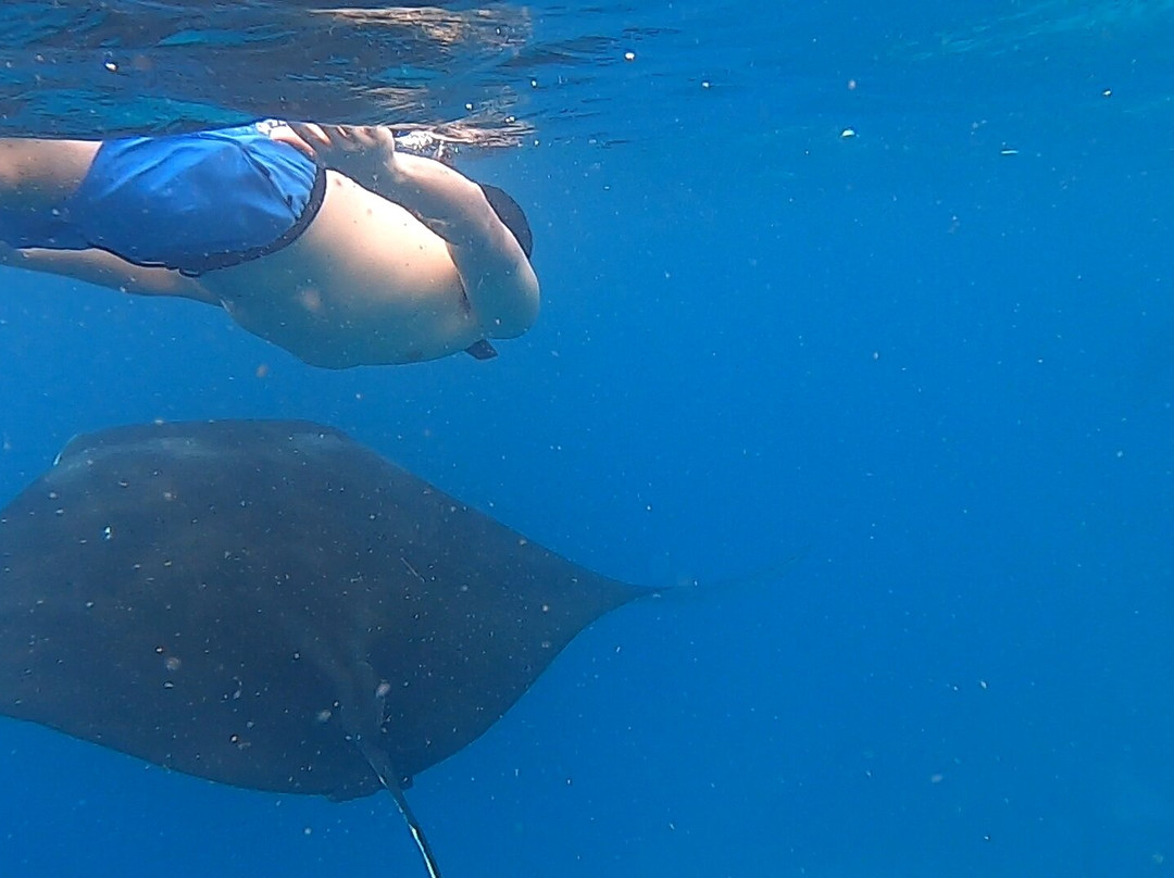 Komodo Shining-Labuan Bajo必去景点