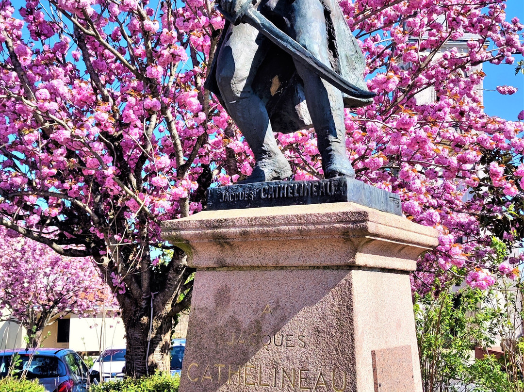 Statue de Jacques Cathelineau-Beaupreau-en-Mauges必去景点