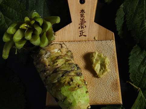 Zielony Korzeń Sushi Bar