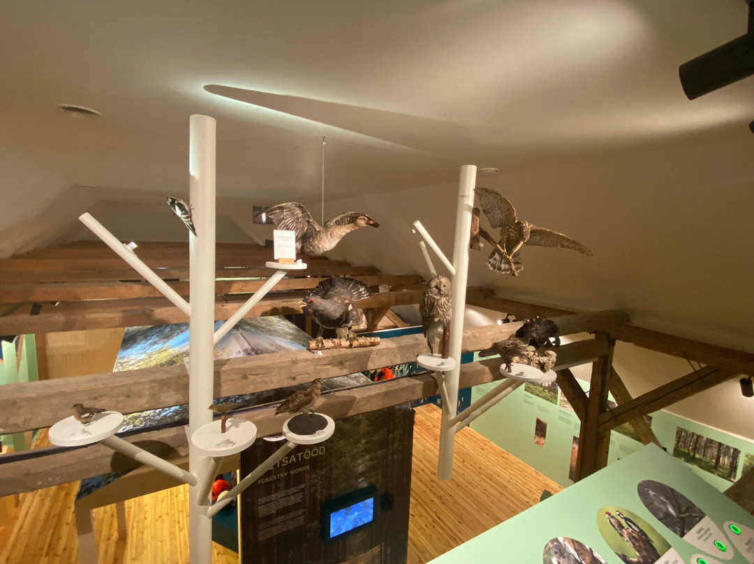 Sagadi Forest Museum-Sagadi必去景点