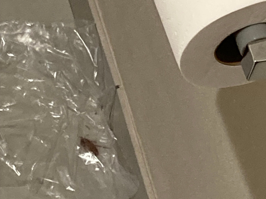 Ramada by Wyndham Modesto Yosemite Area主图