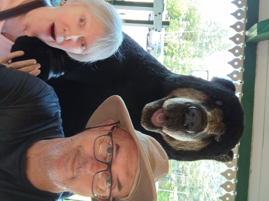 Clark's Bears-林肯必去景点