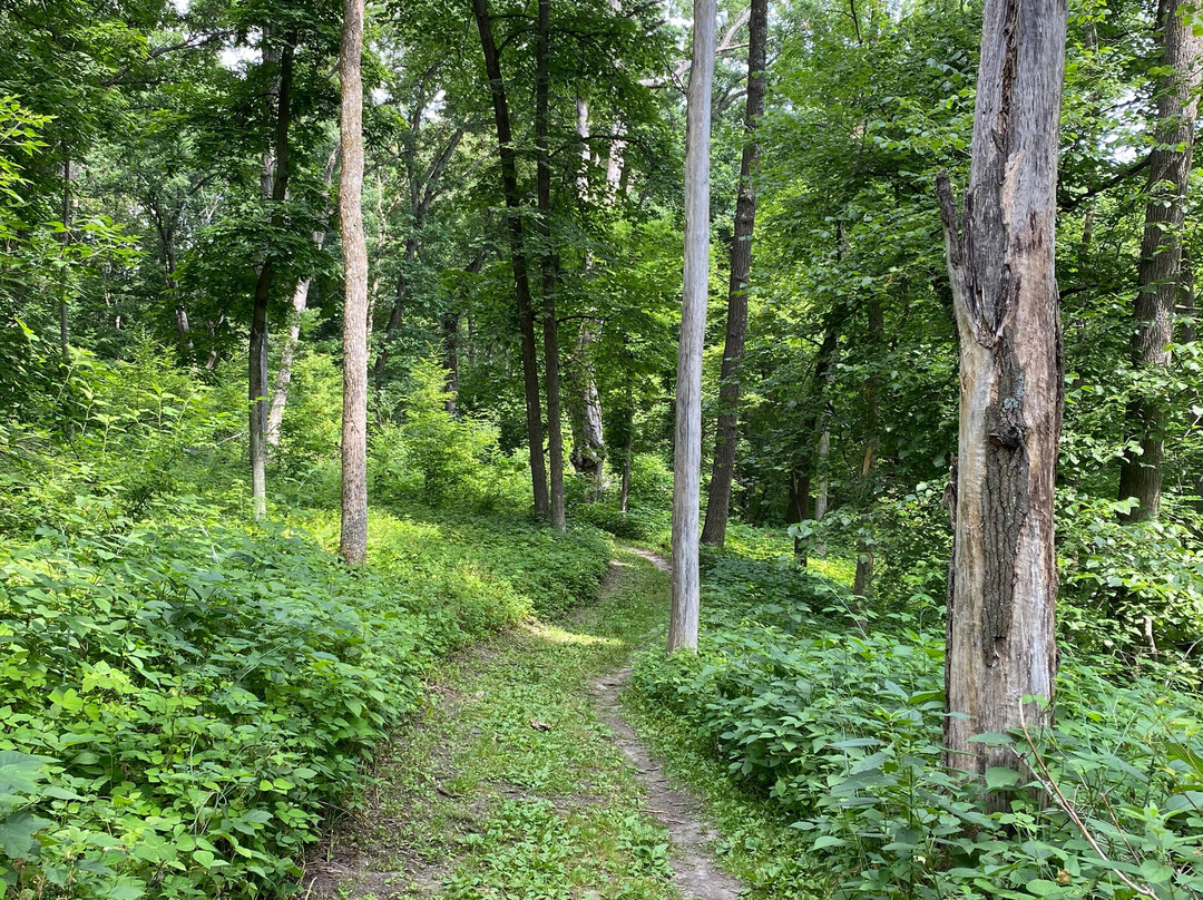 Effigy Mounds National Monument景点图片