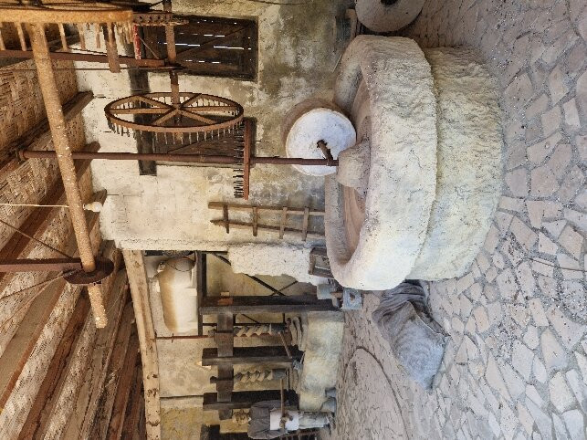 Oleastro Olive Park and Museum景点图片